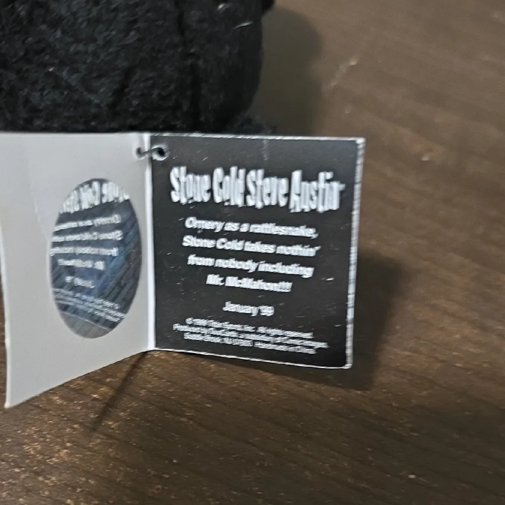 Stone Cold Steve Austin VINTAGE wretling Bear In Cube
